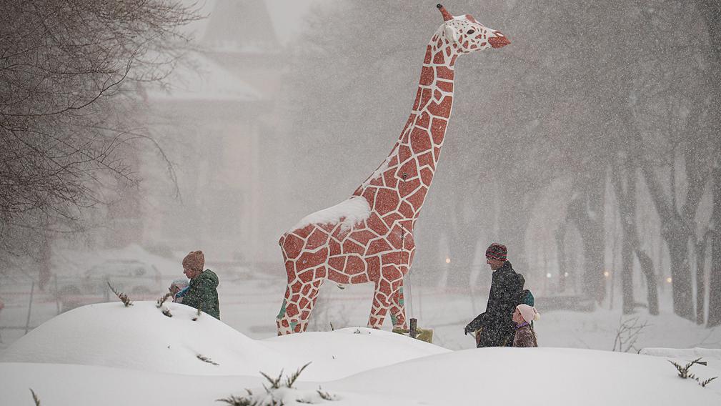 Museum visitors walk past a model of a giraffe outside the Grigore Antipa Natural History Museum during a snowfall in Bucharest, Romania, February 21, 2026. /VCG