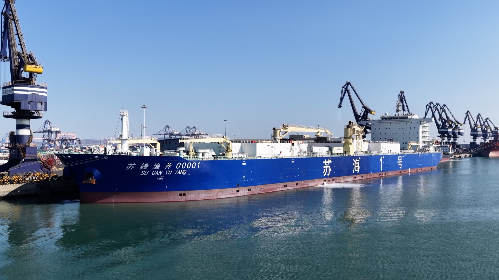 A view of Suhai-1, the world's first self-propelled enclosed salmon aquaculture vessel, Yantai, east China's Shandong Province, February 11, 2026. /CGTN