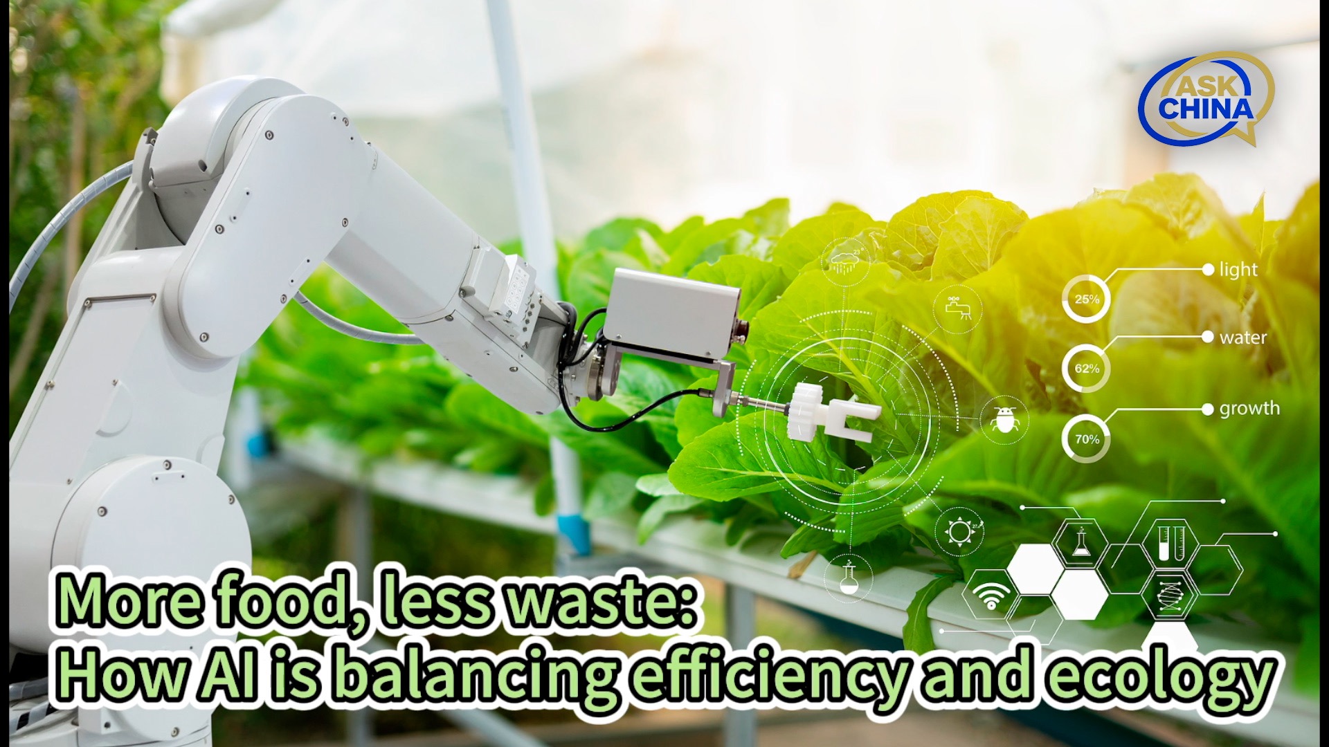 More food, less waste: How AI is balancing efficiency and ecology