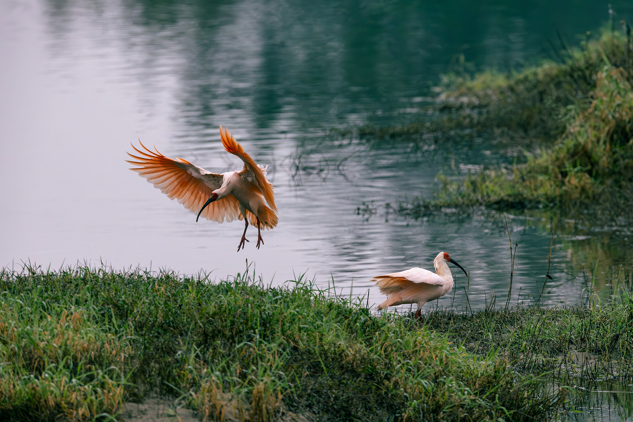 Protecting nature, brightening lives in Shaanxi