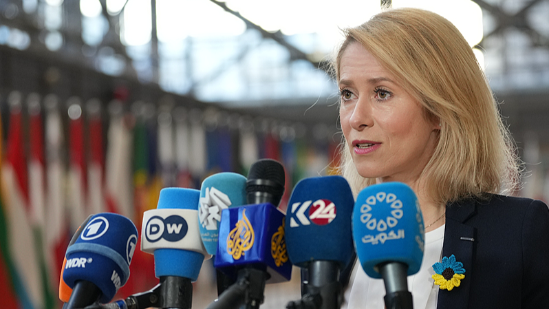 EU foreign policy chief calls for 'diplomatic solution' on Iran