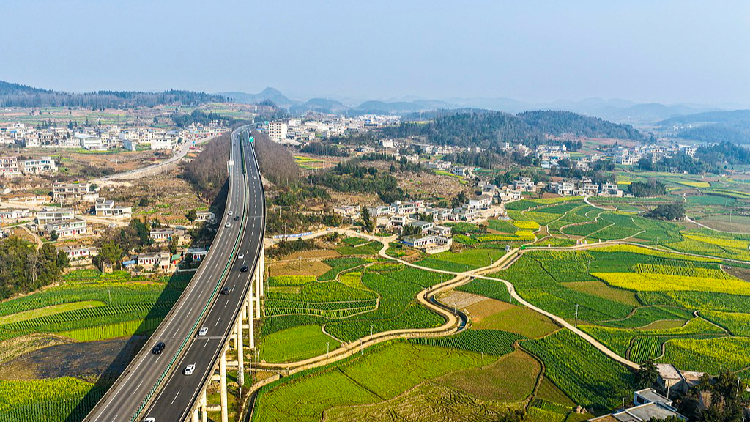 How China advances sustainable and balanced rural revitalization