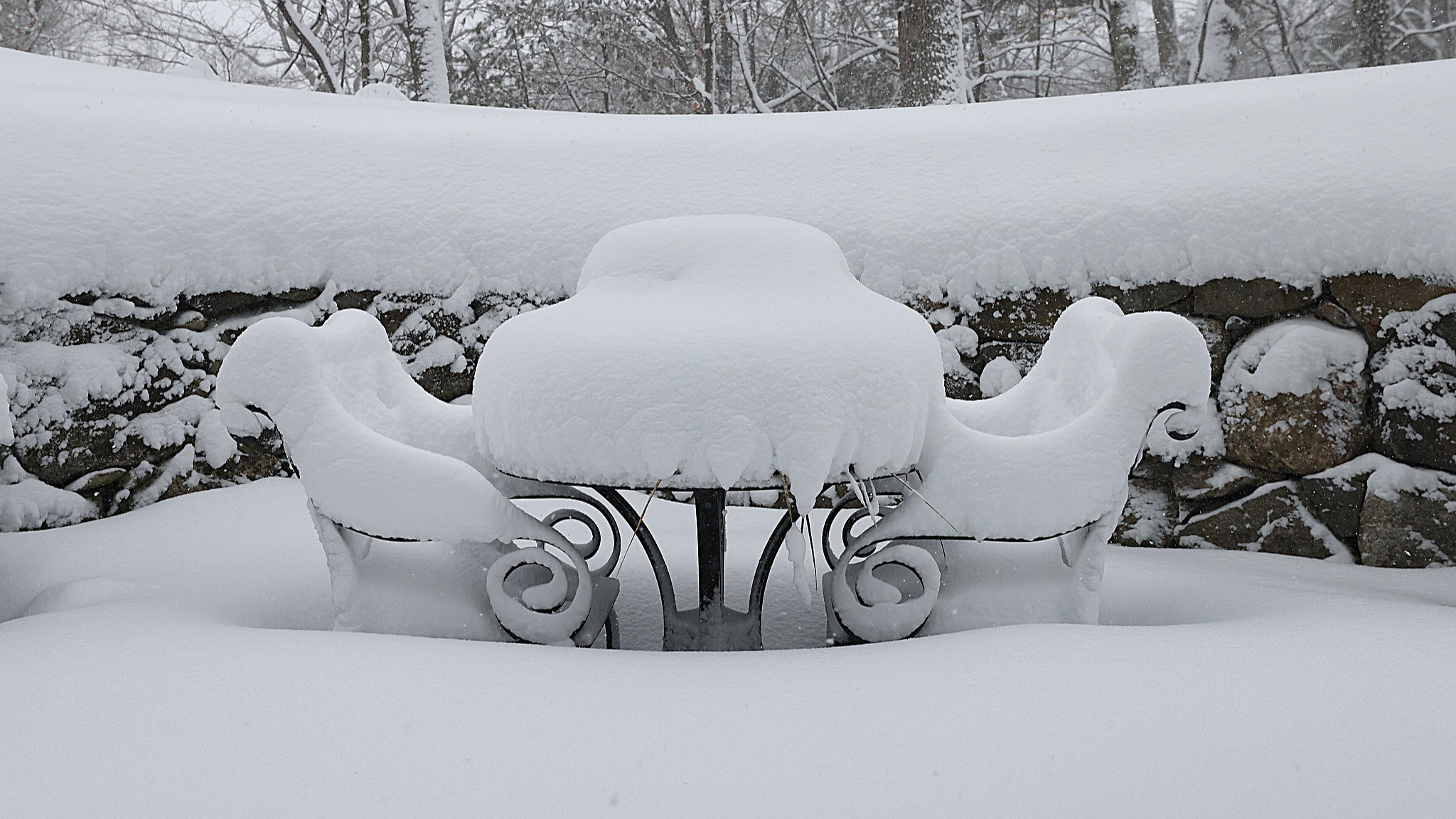 Historic blizzard paralyzes northeastern U.S.