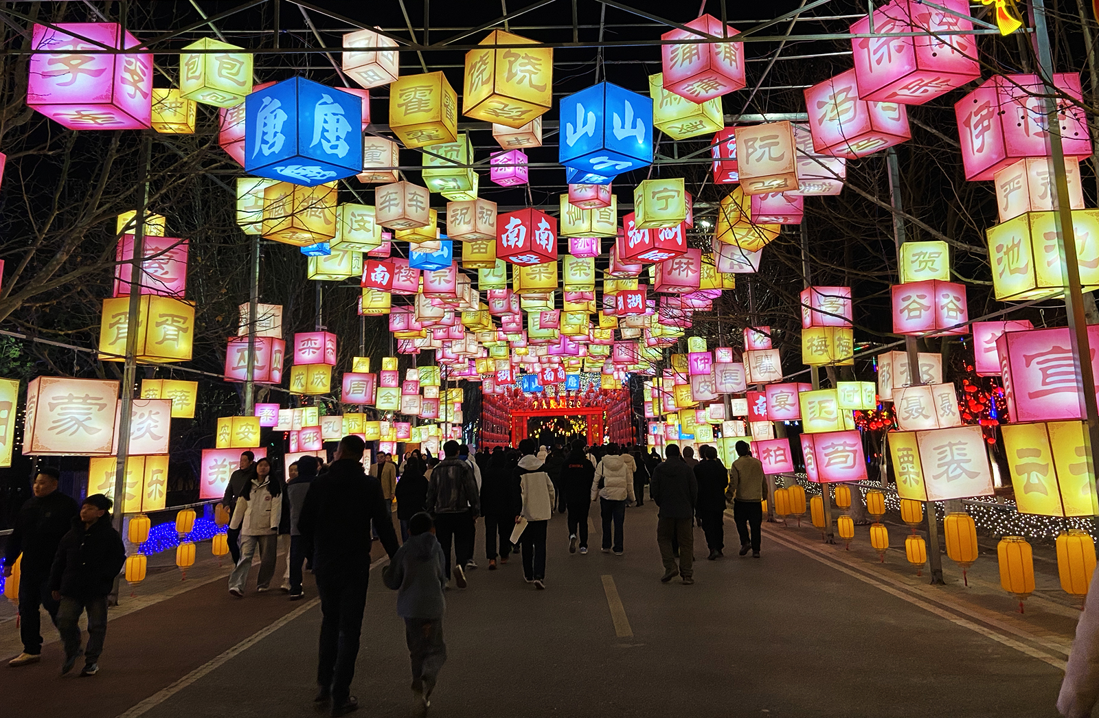 Visitors explore the Spring Festival lantern fair at South Lake Park in Tangshan, Hebei Province. /CGTN