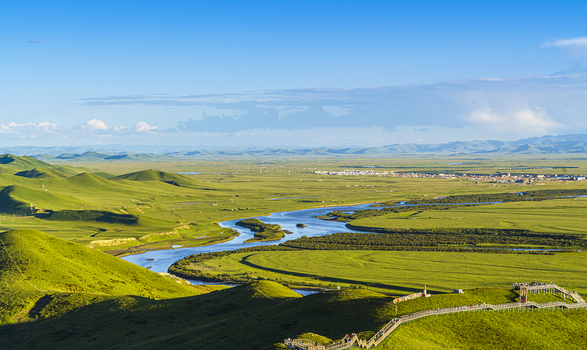 Qinghai's wildlife revival: A stunning comeback