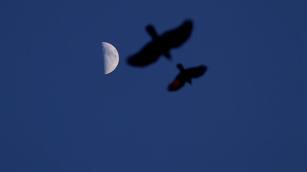 The moon over Harbin city, northeast China's Heilongjiang Province, February 24, 2026. /VCG