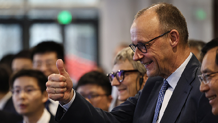 China, Germany achieve positive results during Merz's visit: MOFCOM