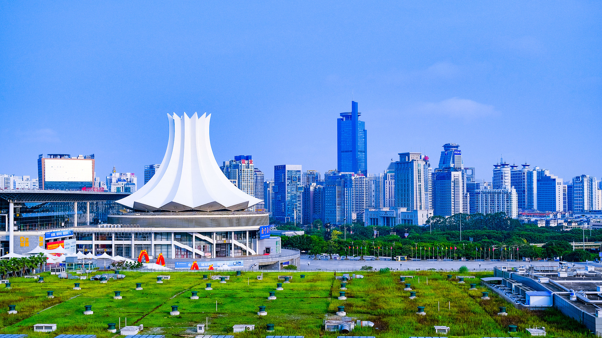 Guangxi: Turning cross-border cooperation into livelihood gains