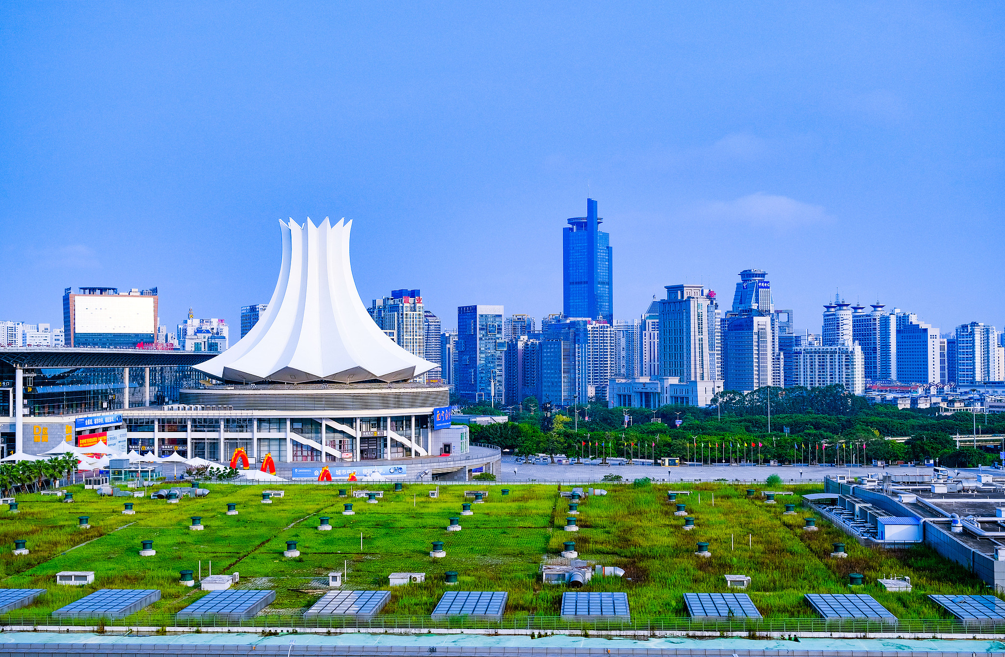 Guangxi: Turning cross-border cooperation into livelihood gains