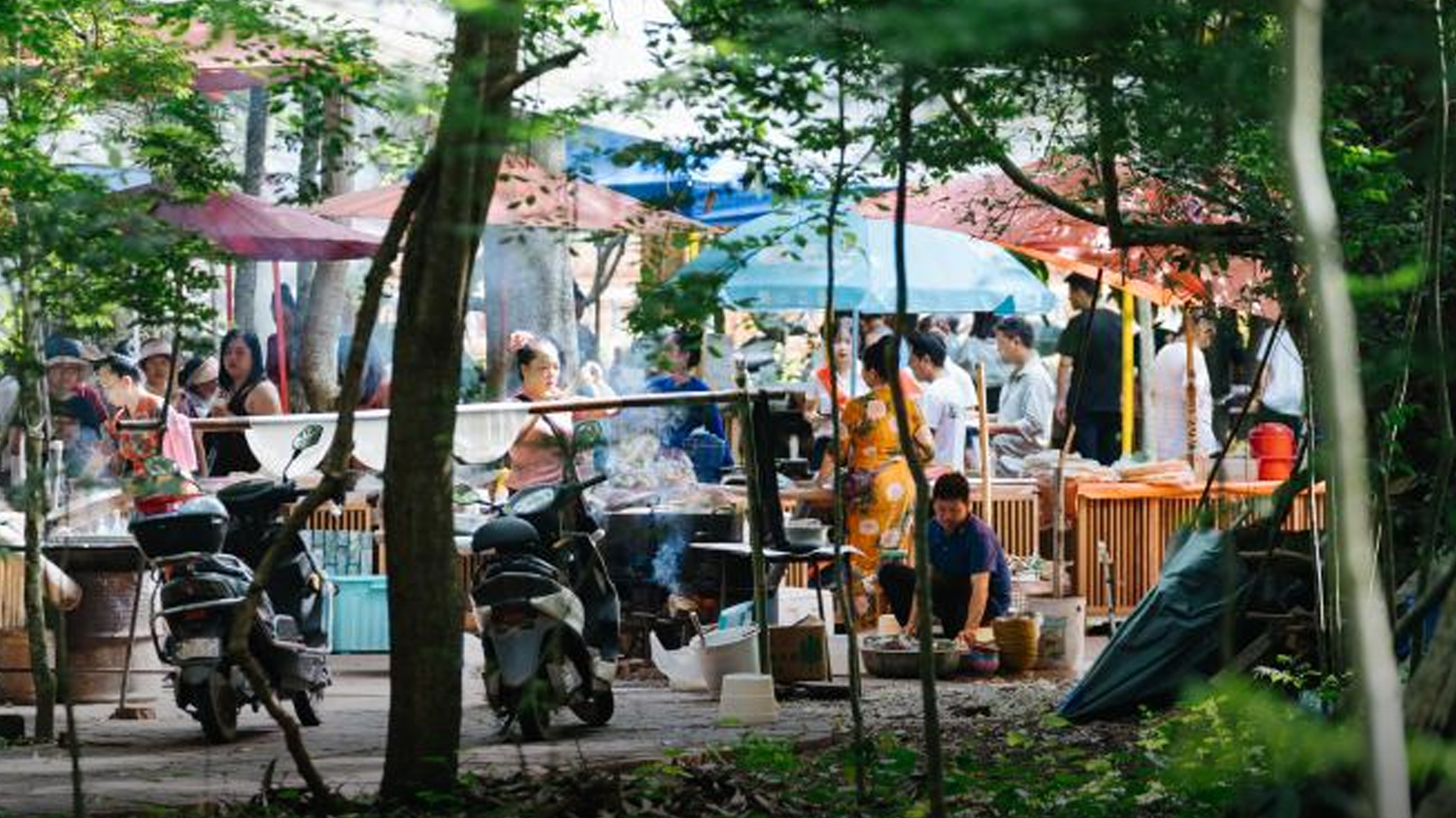 NPC Deputy Zhang Shiying: From border resources to shared prosperity