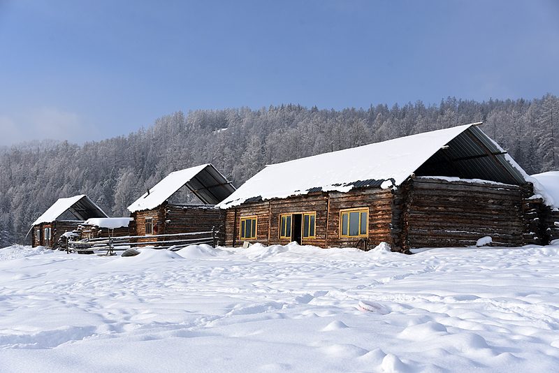 Xinjiang’s homestay boom powers rural revitalization