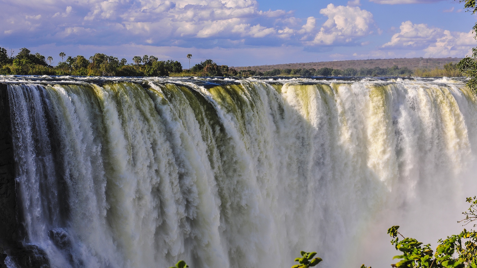African expert praises China's green energy model