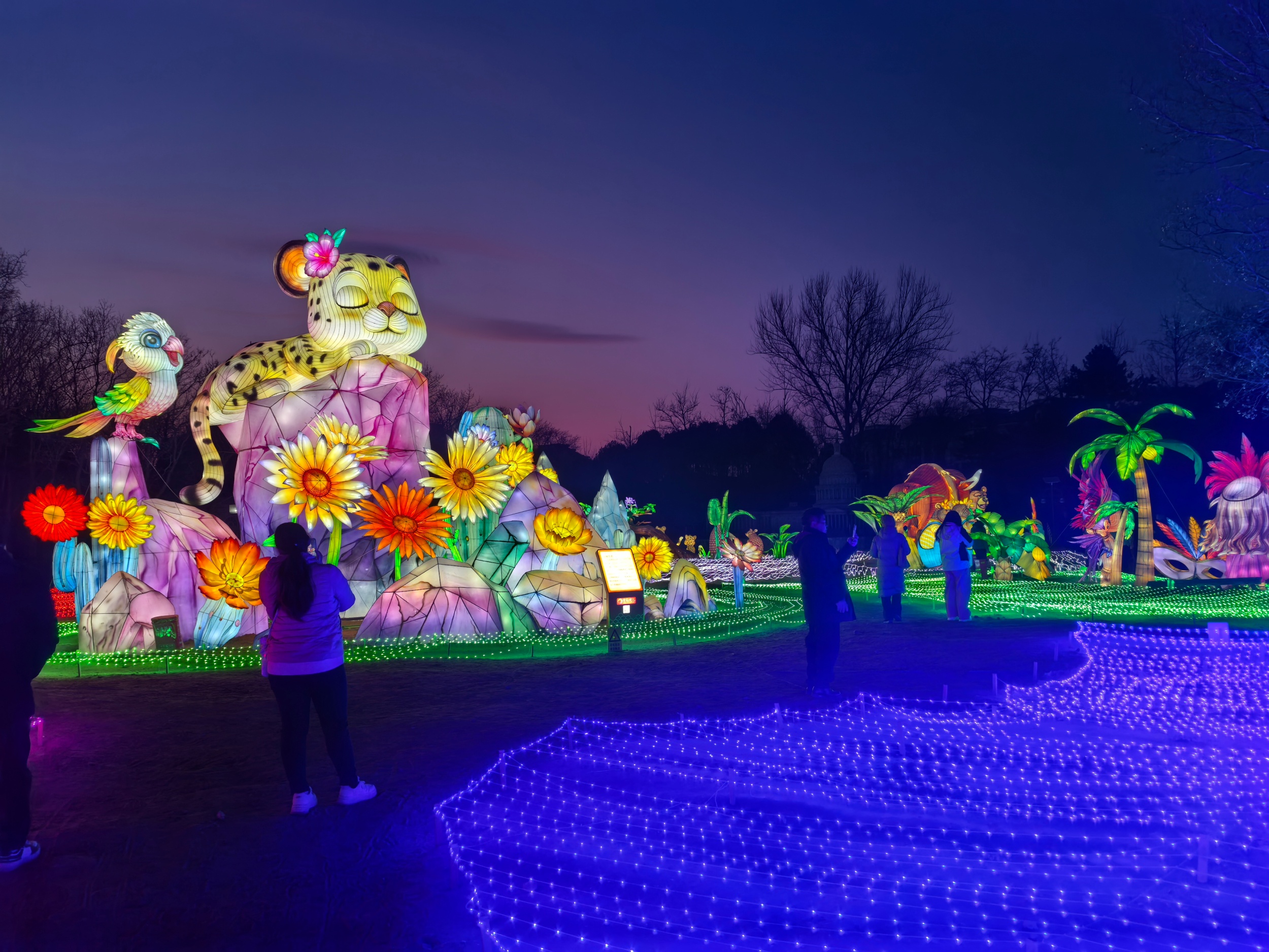 A view of Beijing World Park's 2026 Jingcai New Year Lantern Carnival on February 17, 2026. /CGTN