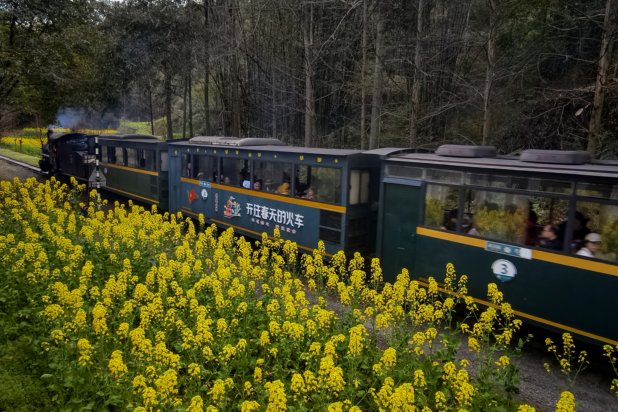 The Jiayang steam train is pictured in Leshan, Sichuan Province on February 27, 2026. /VCG