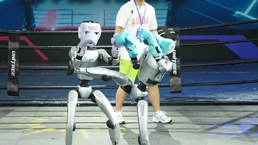 Humanoid robots fight in a boxing tournament. /VCG
