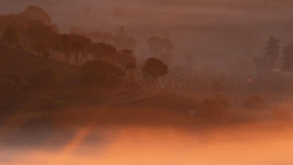 Sunrise over Yunnan tea mountains