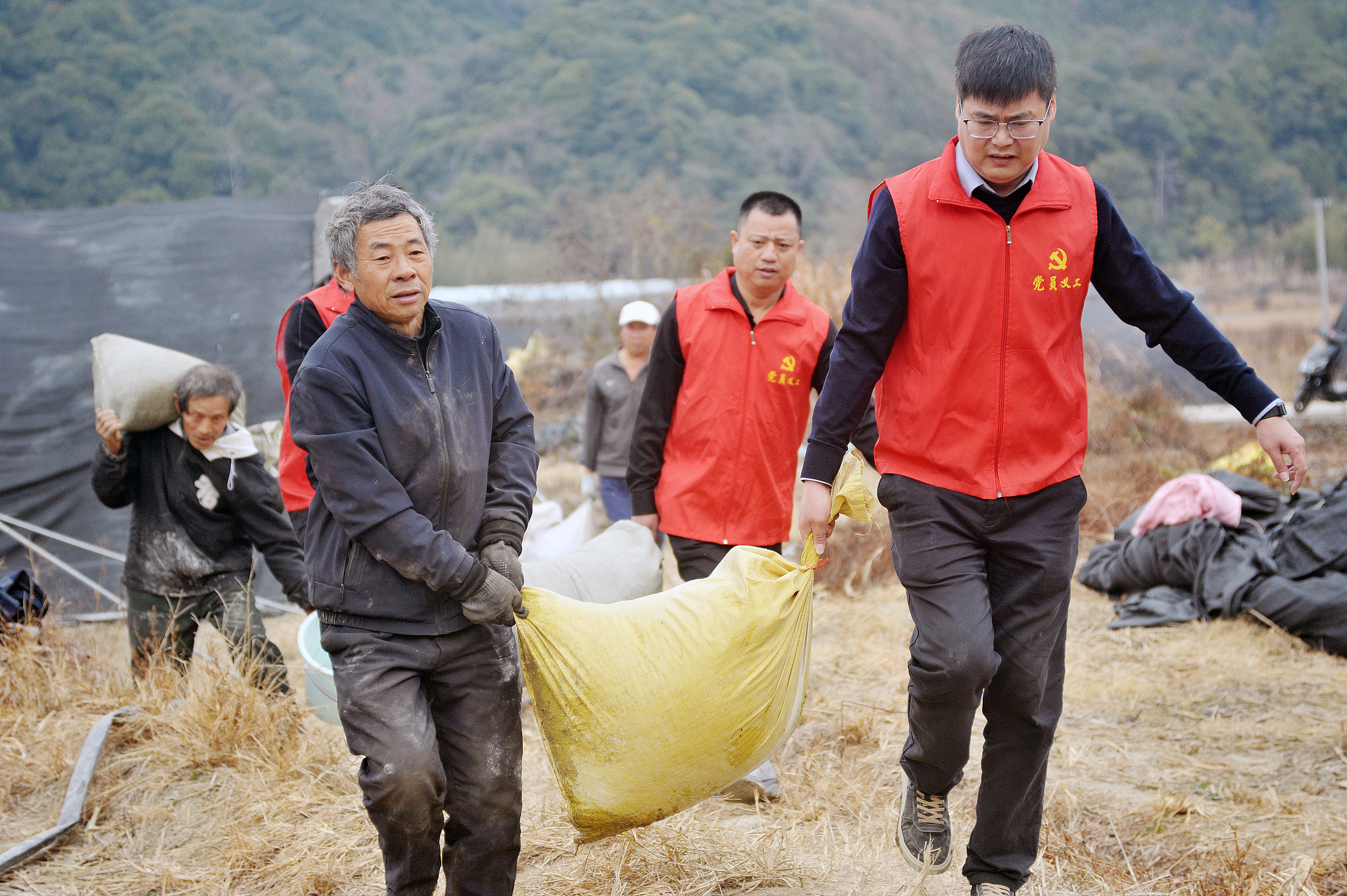 Party members helping farmers to carry mushroom spawns at a mushroom farm in Guihu village of Dexing City in Jiangxi Province. December 7, 2025. /VCG