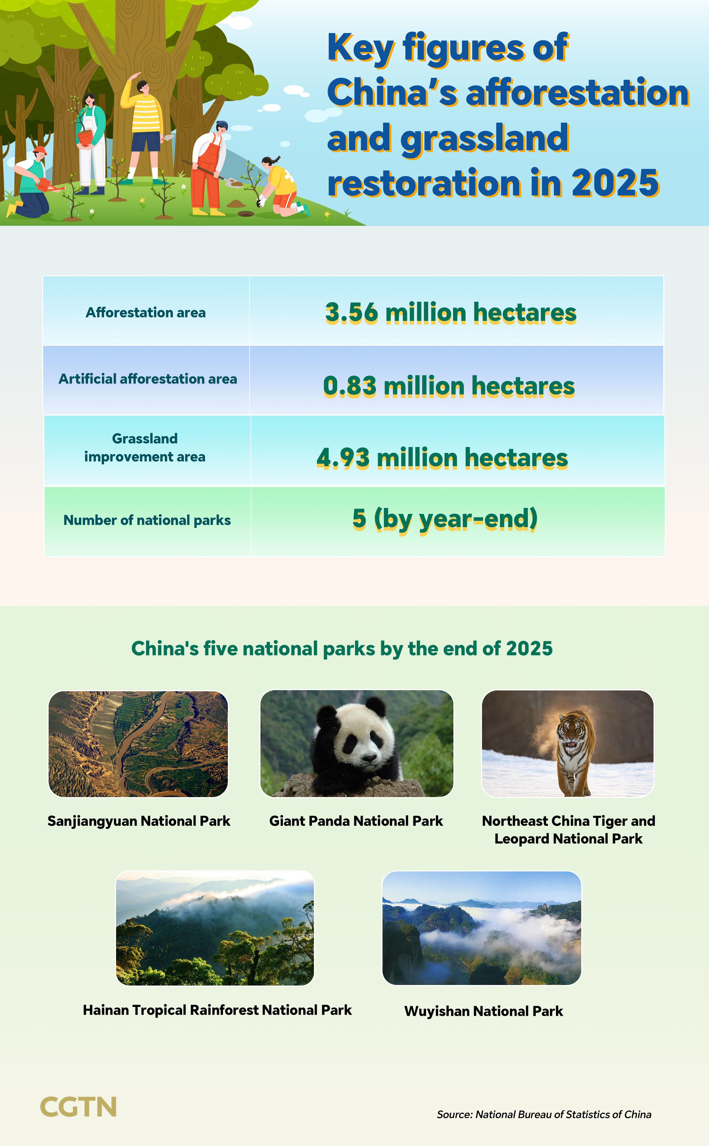 Graphics: China's afforestation, grassland restoration in 2025