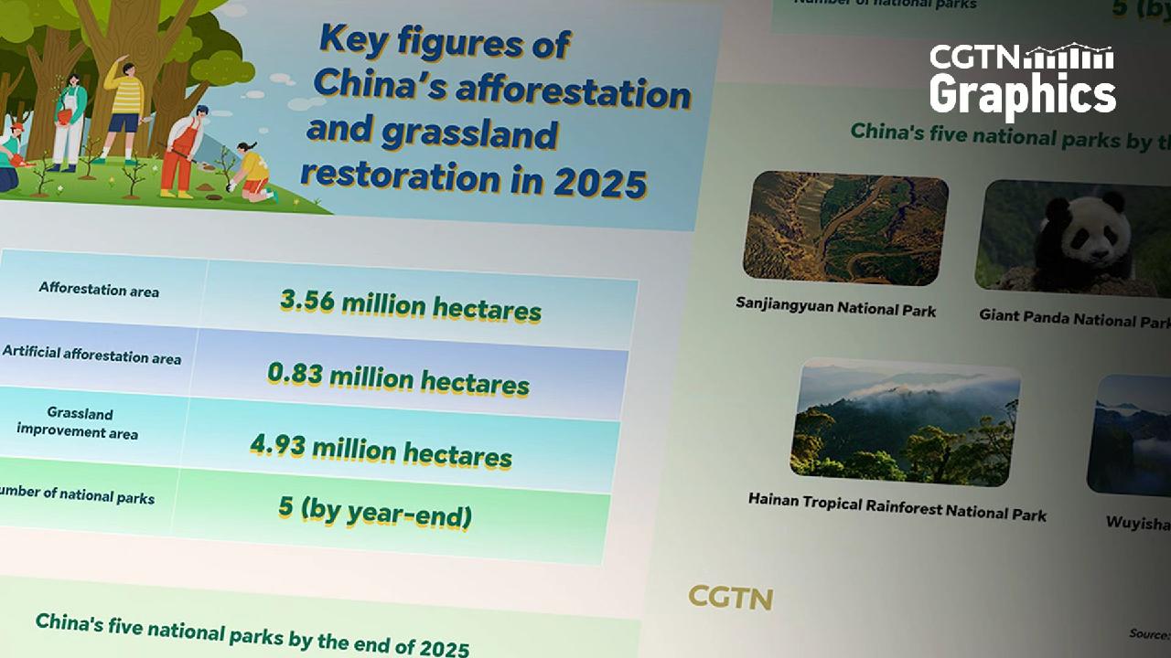 Graphics: China's afforestation, grassland restoration in 2025