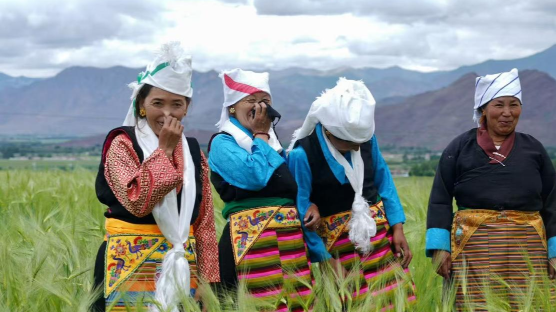 Wearing the elegance of Lhasa: The costumes of Damxung and Linzhou