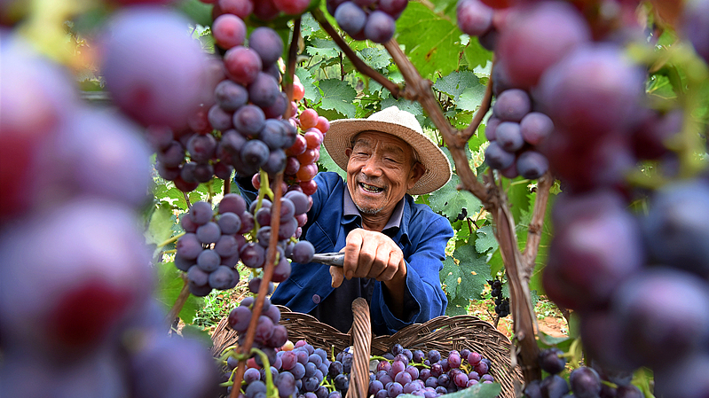 Book about Xi leading China's poverty elimination endeavors published