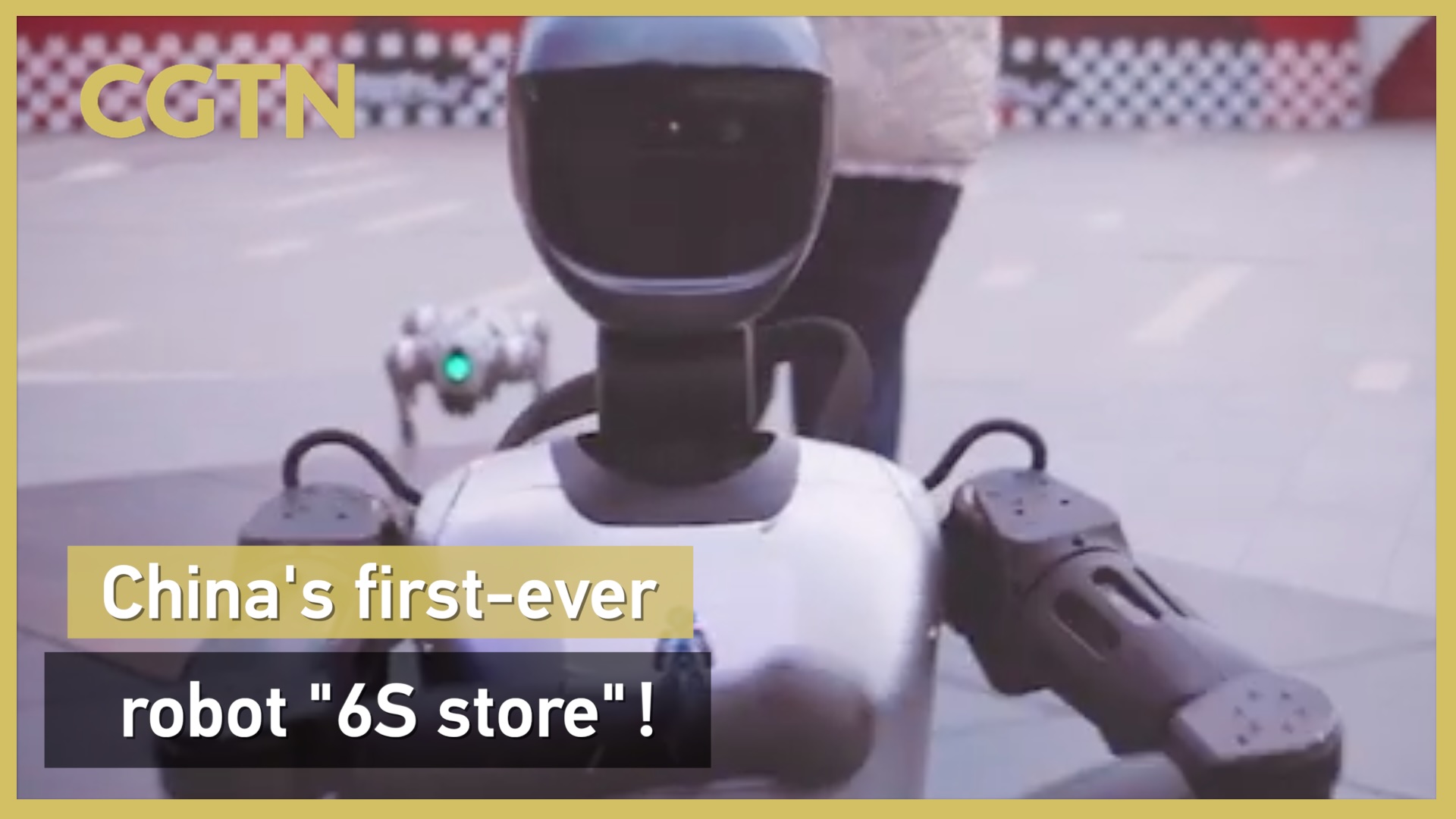 China's first-ever robot '6S store'!