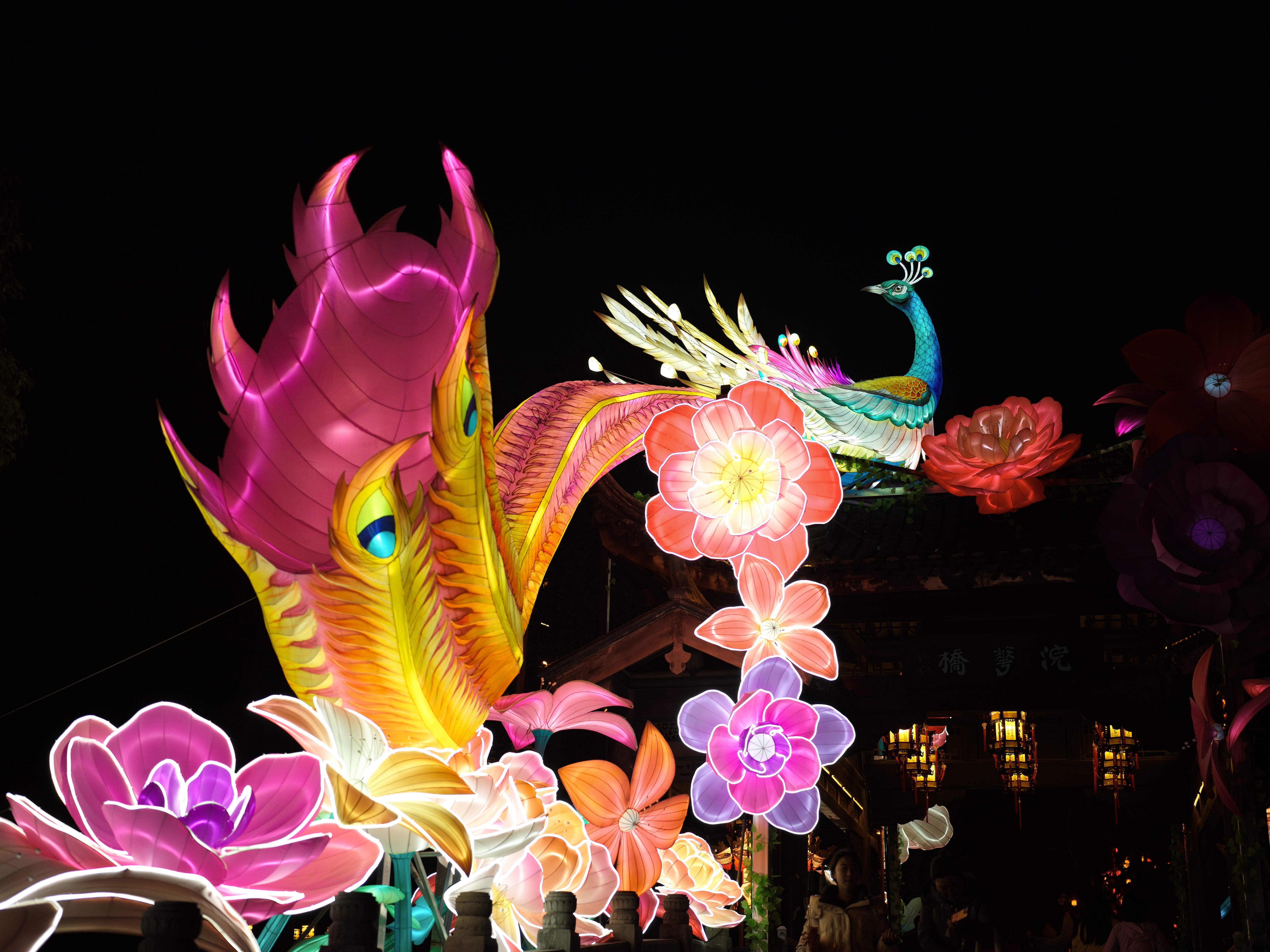 A lantern featuring a colorful peacock in Bailuzhou Park, Nanjing City, east China's Jiangsu Province, February 25, 2026. Chen Hongyu/CGTN