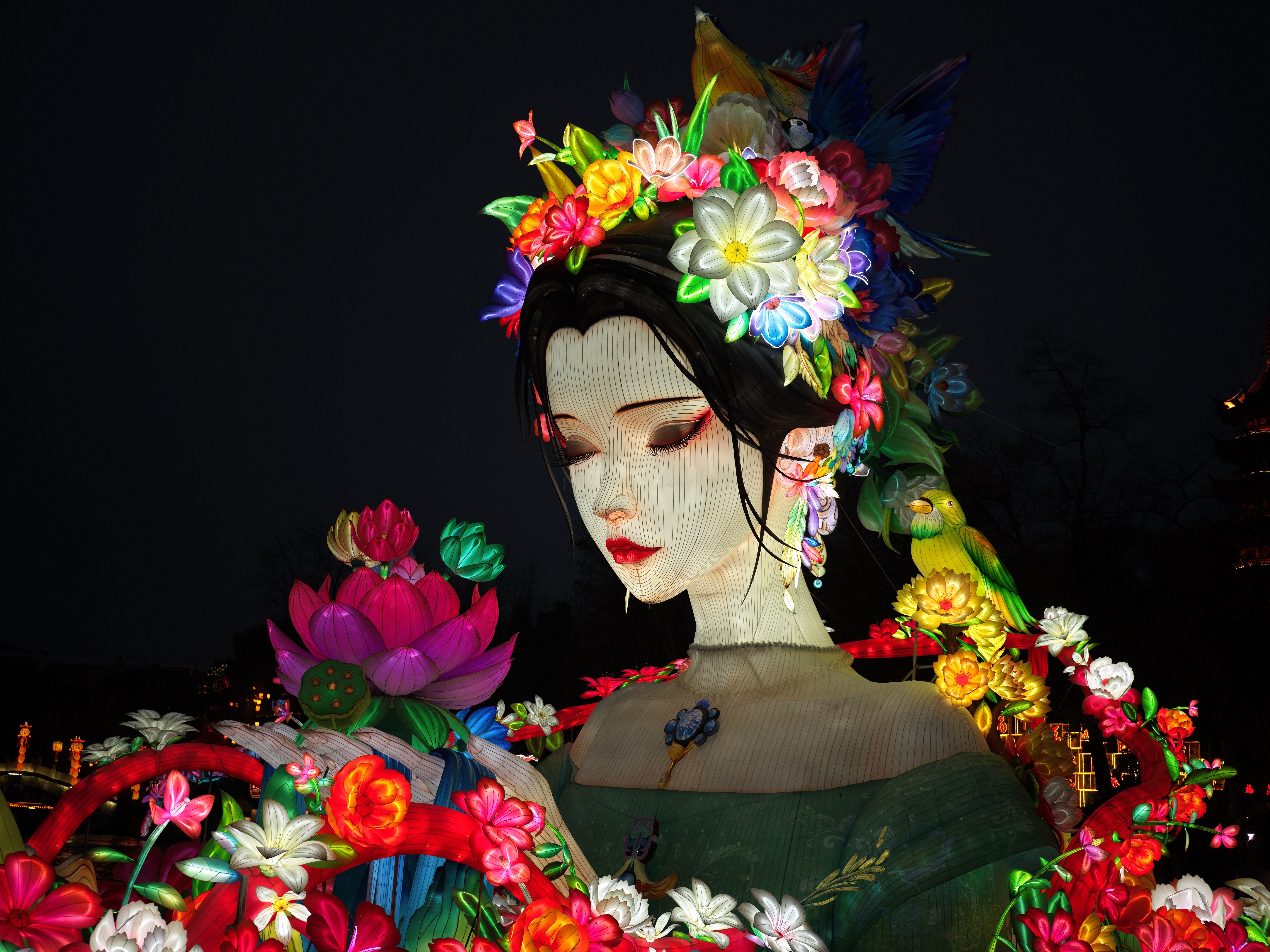 A lantern featuring flower goddess shines at night in Bailuzhou Park, Nanjing City, February 25, 2026. Chen Hongyu/CGTN