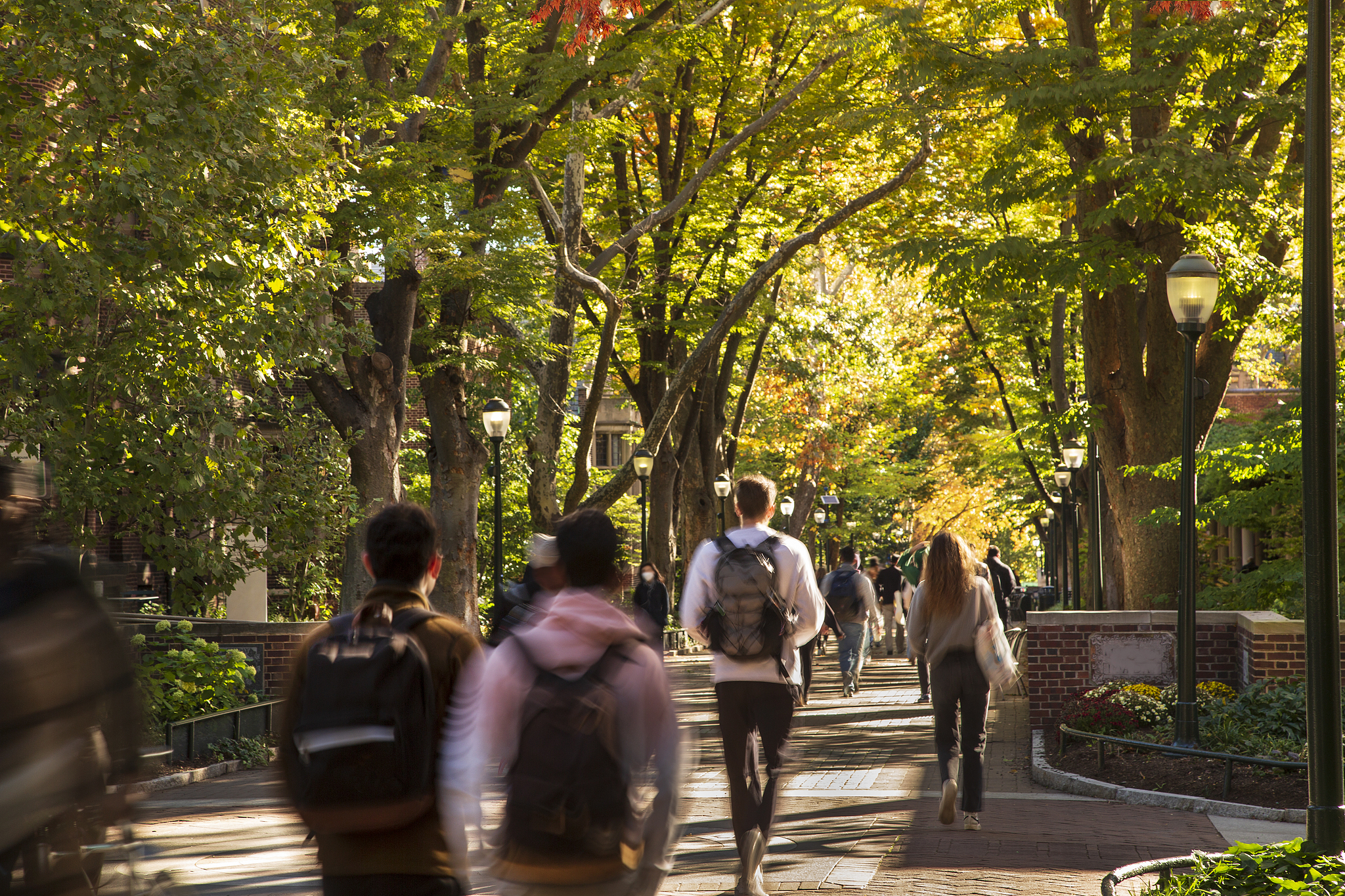 From hobby to career: The rise of esports jobs in China