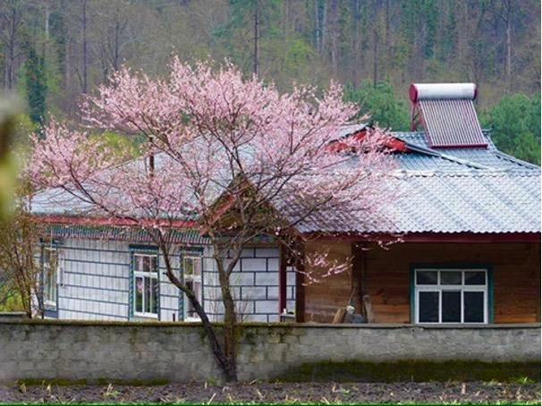 House in a Deng resettlement village, Zayu County, Nyingchi City, Xizang. / CGTN
