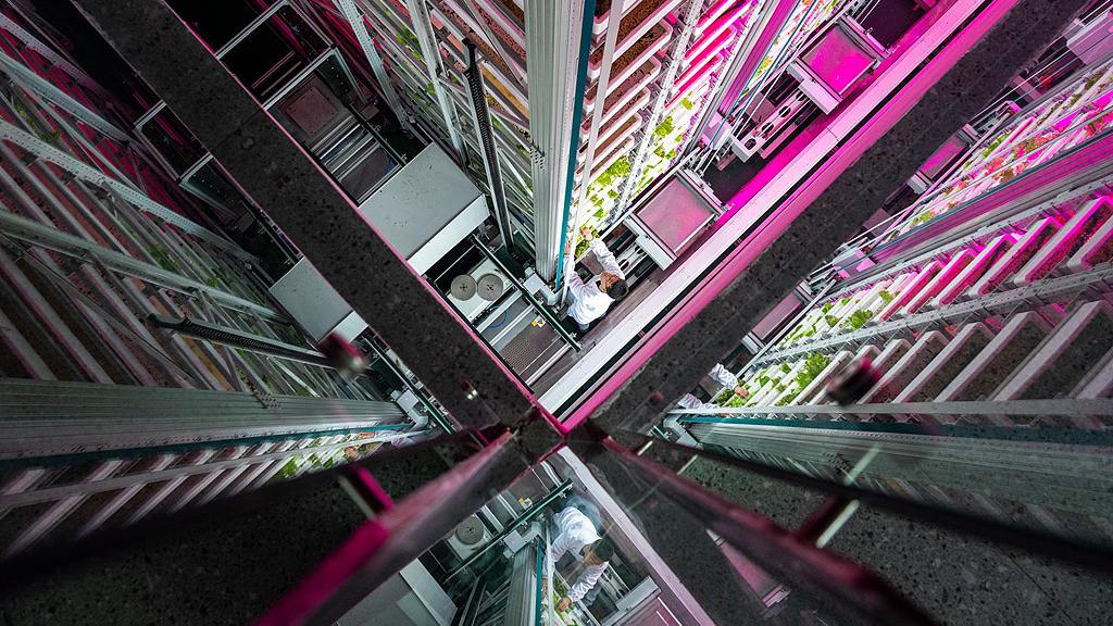 In pics: Smart technologies shaping the future of agriculture