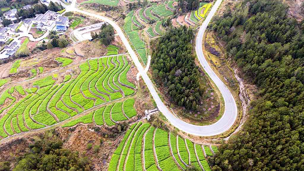 Intl. community hails China's contribution to global poverty reduction