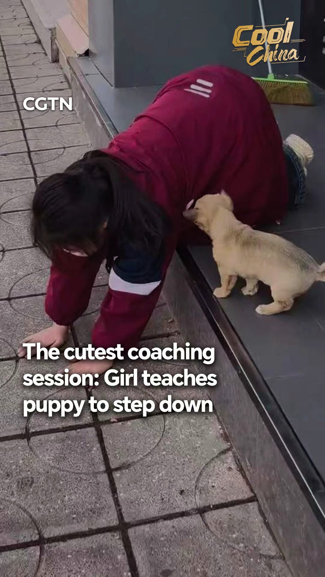 The cutest coaching session: Girl teaches puppy to step down
