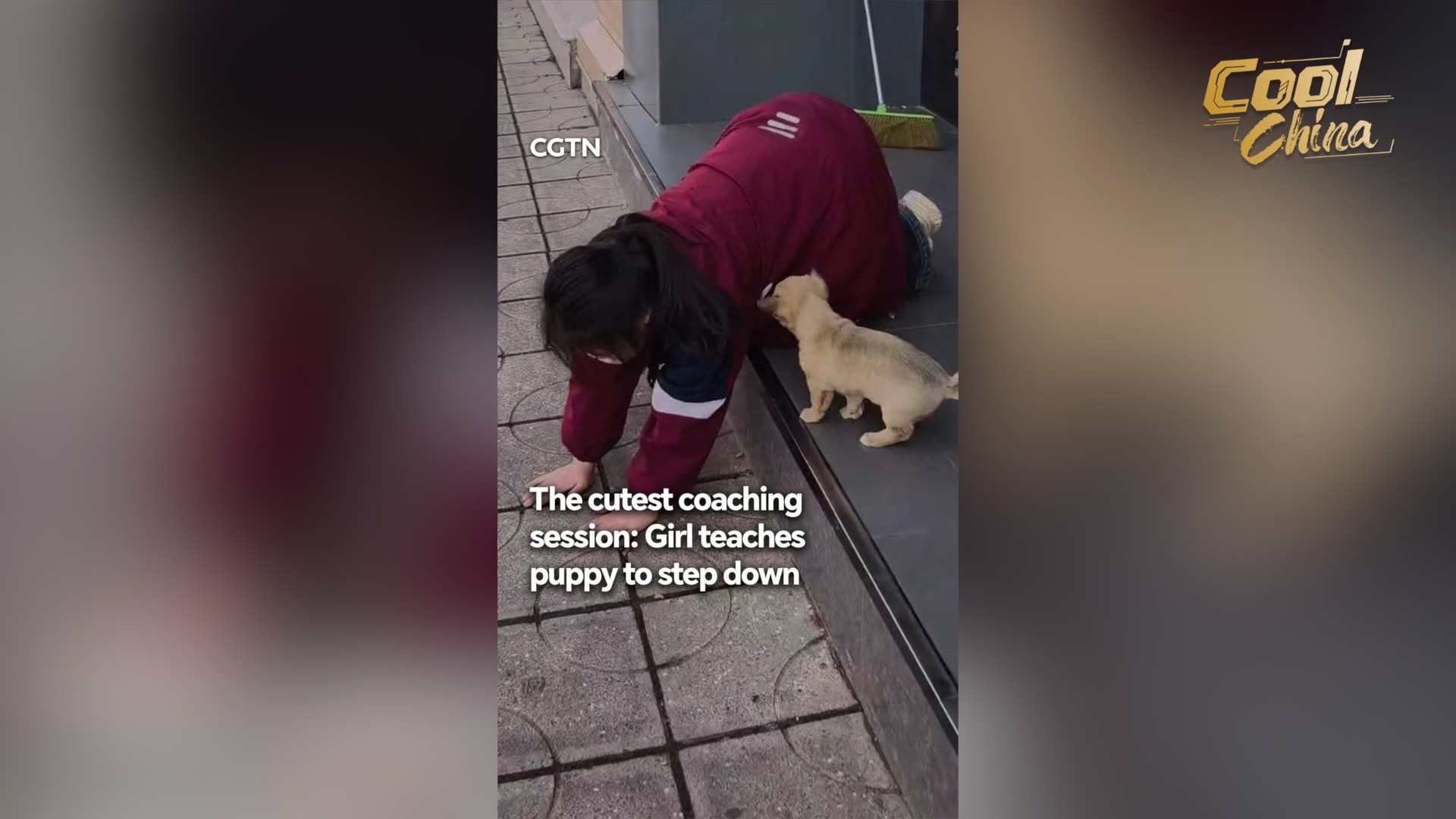 The cutest coaching session: Girl teaches puppy to step down