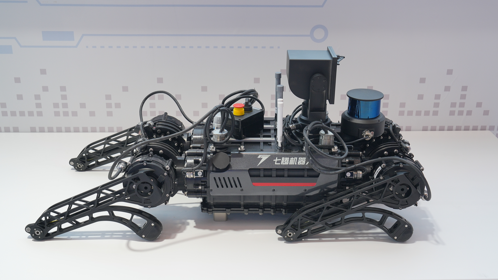 A quadruped anti-riot robot by Sevnce Robotics is displayed at the 7th Western China International Fair for Investment and Trade on May 22, 2025. /VCG