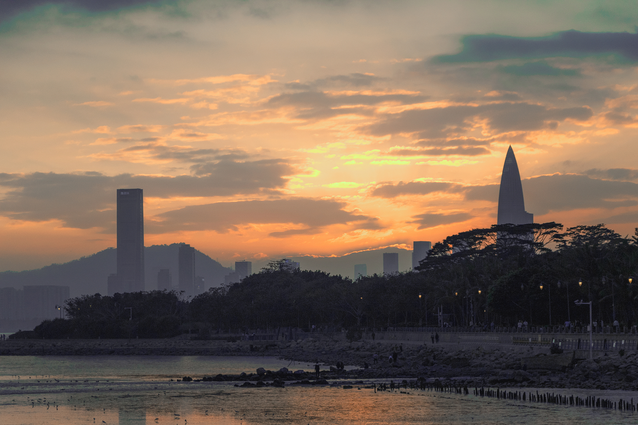 Sunset at the Shenzhen Bay Park, Guangdong Province, south China. /VCG