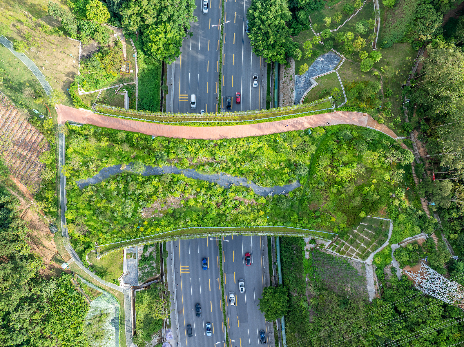 The Kunpeng Trail No.1 Bridge in Shenzhen, Guangdong Province, south China. /VCG