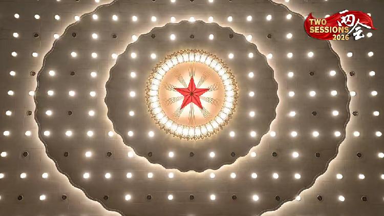 The fourth session of the 14th National People's Congress (NPC), China's top legislature, takes place at the Great Hall of the People in Beijing, March 5. /Xinhua