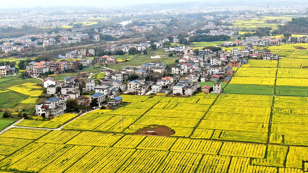 A view of the countryside in Suichuan City, east China's Jiangxi Province, March 4, 2026. /VCG