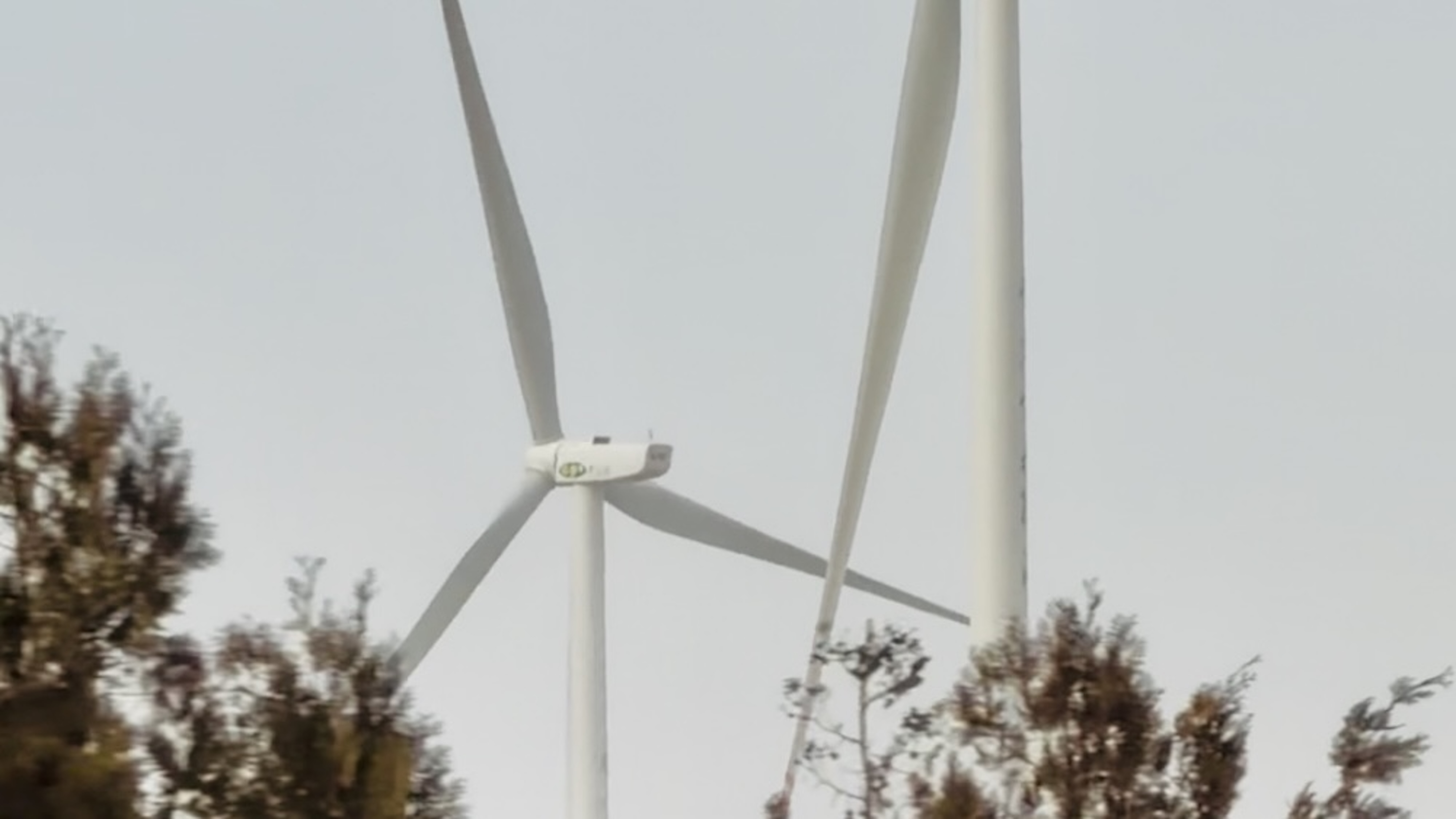 Green energy reshapes Ningxia's ecological landscape