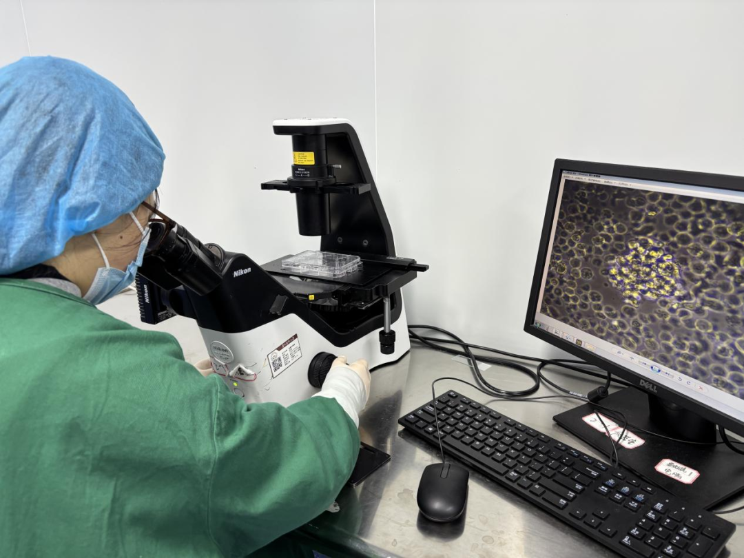 A researcher of Guizhou Medical University at work.