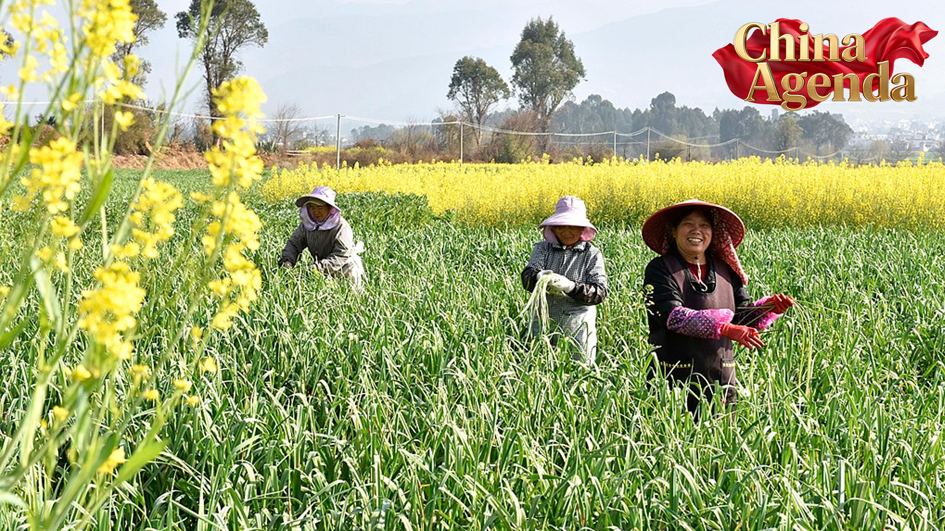 China targets 725 mln tonnes of grain by 2030 to boost food security