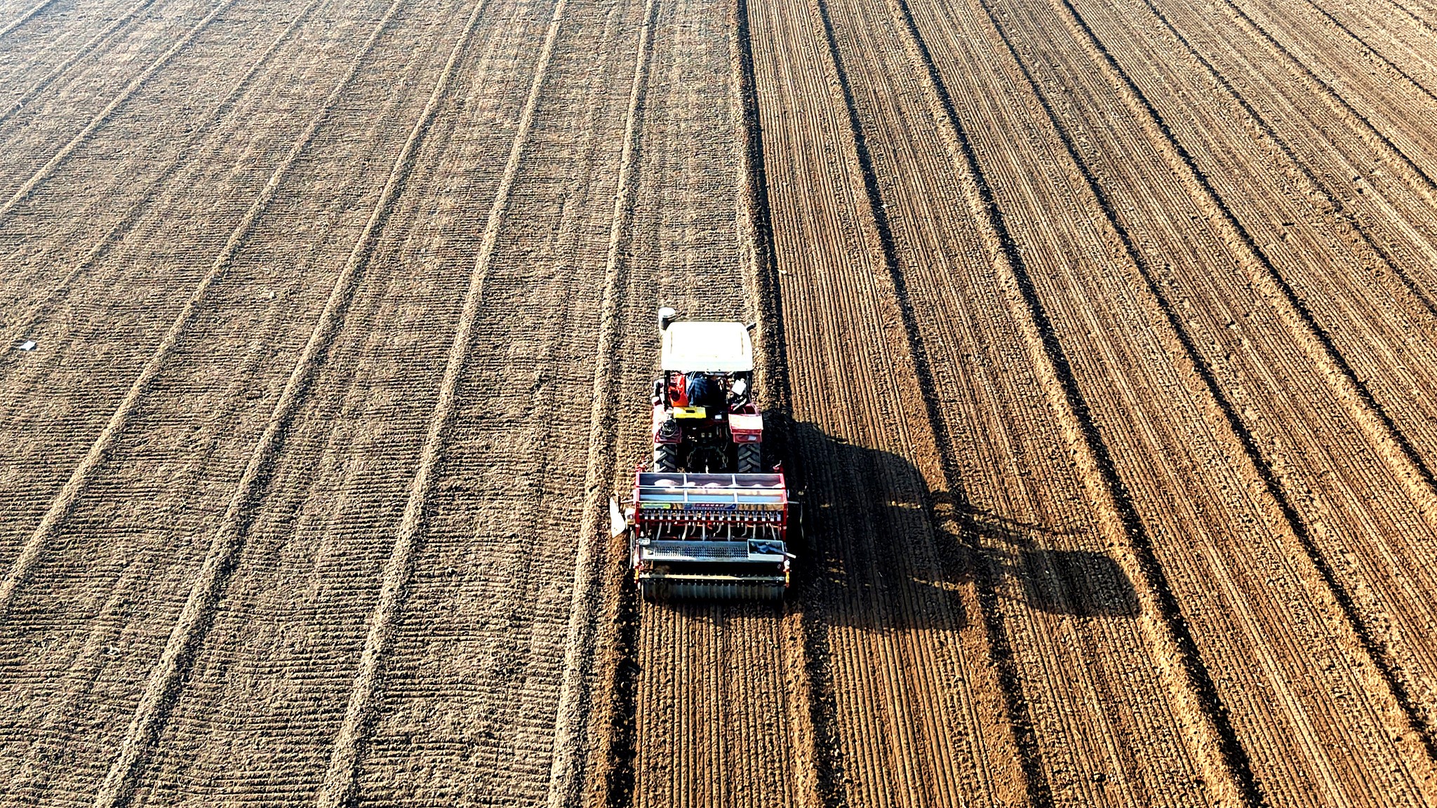 A farmer drives a seed drill equipped with BeiDou satellite navigation to plant wheat with high precision near Linyi City, east China's Shandong Province, November 11, 2025. /VCG