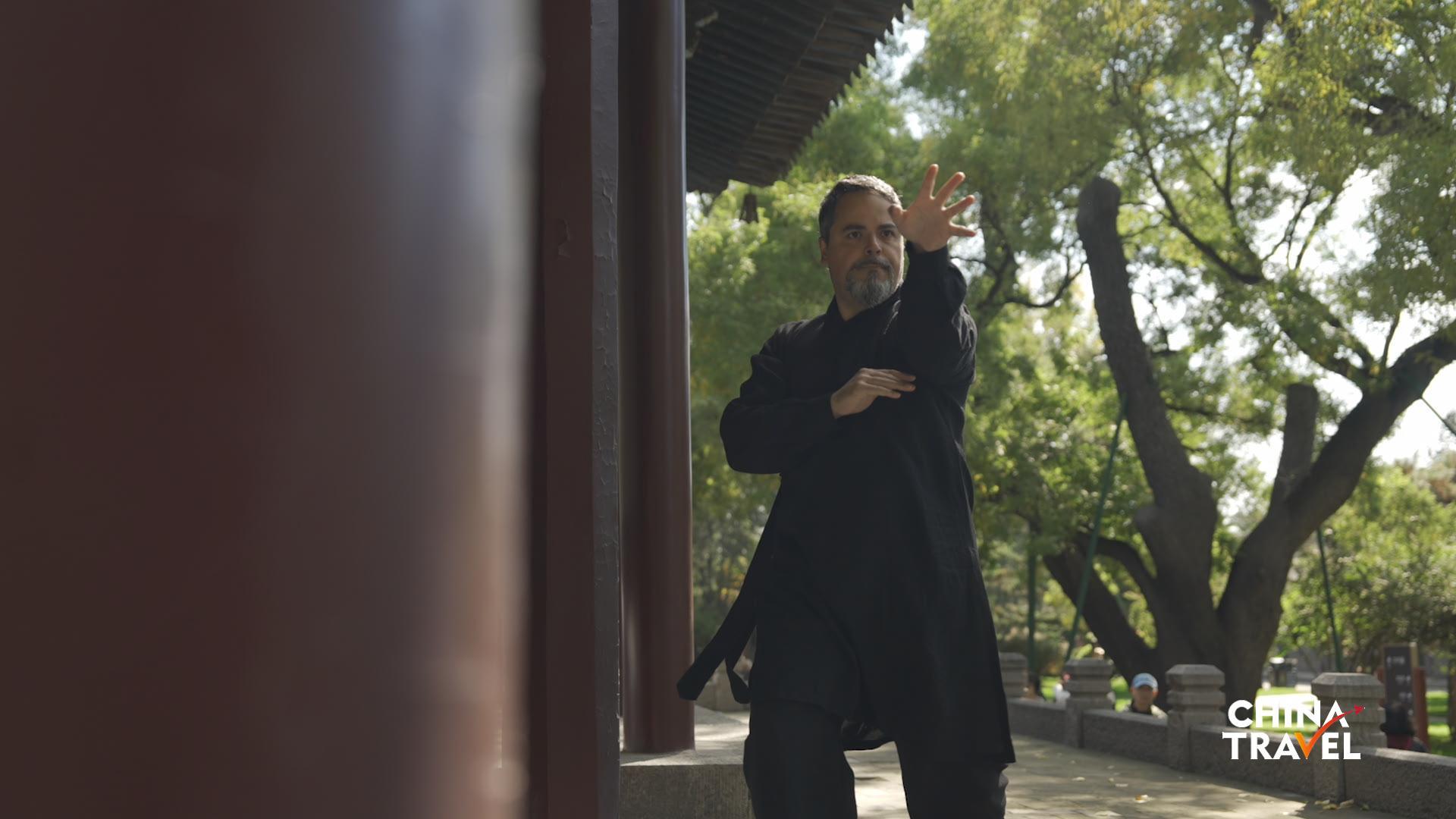 Kung Fu Wise: A journey across styles and continents