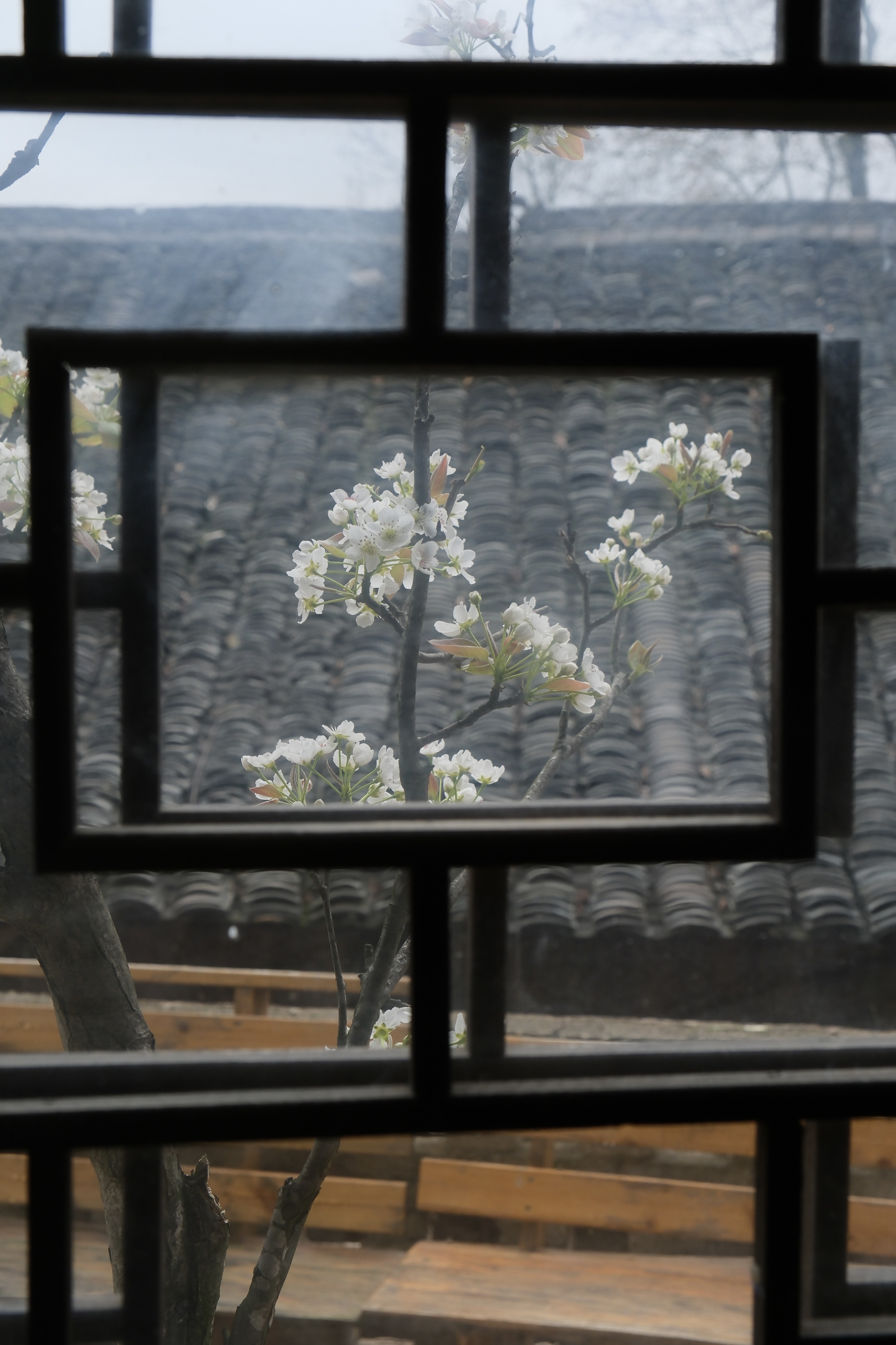 Everyday moments in a Miao village – from farming and resting at a doorway to quiet scenes in a courtyard – reflect the rhythms of rural life shared across generations. /CGTN