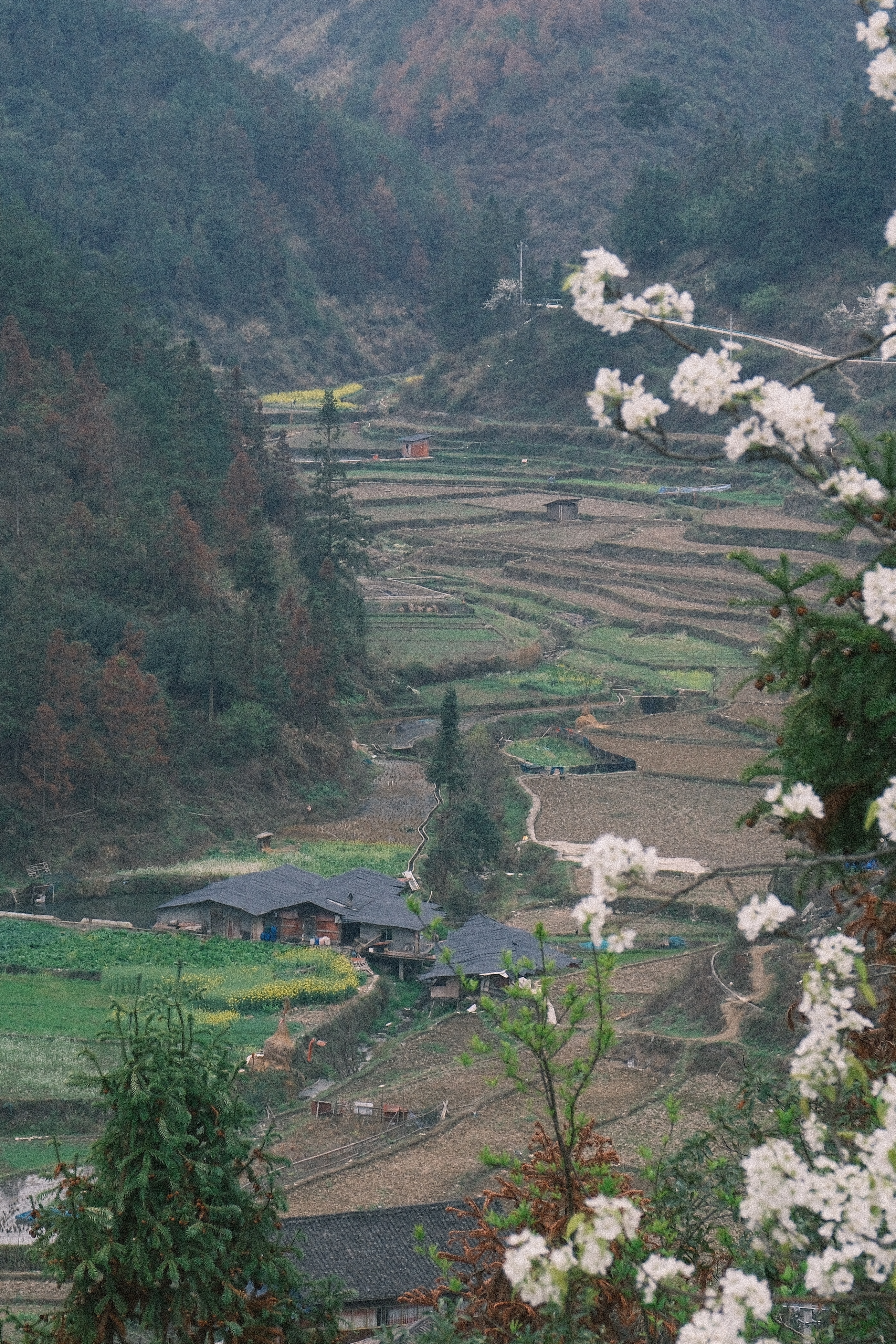 In the mountains of southwest China, villages, terraces and forests form a shared landscape where generations of ethnic communities have lived closely with nature. /CGTN