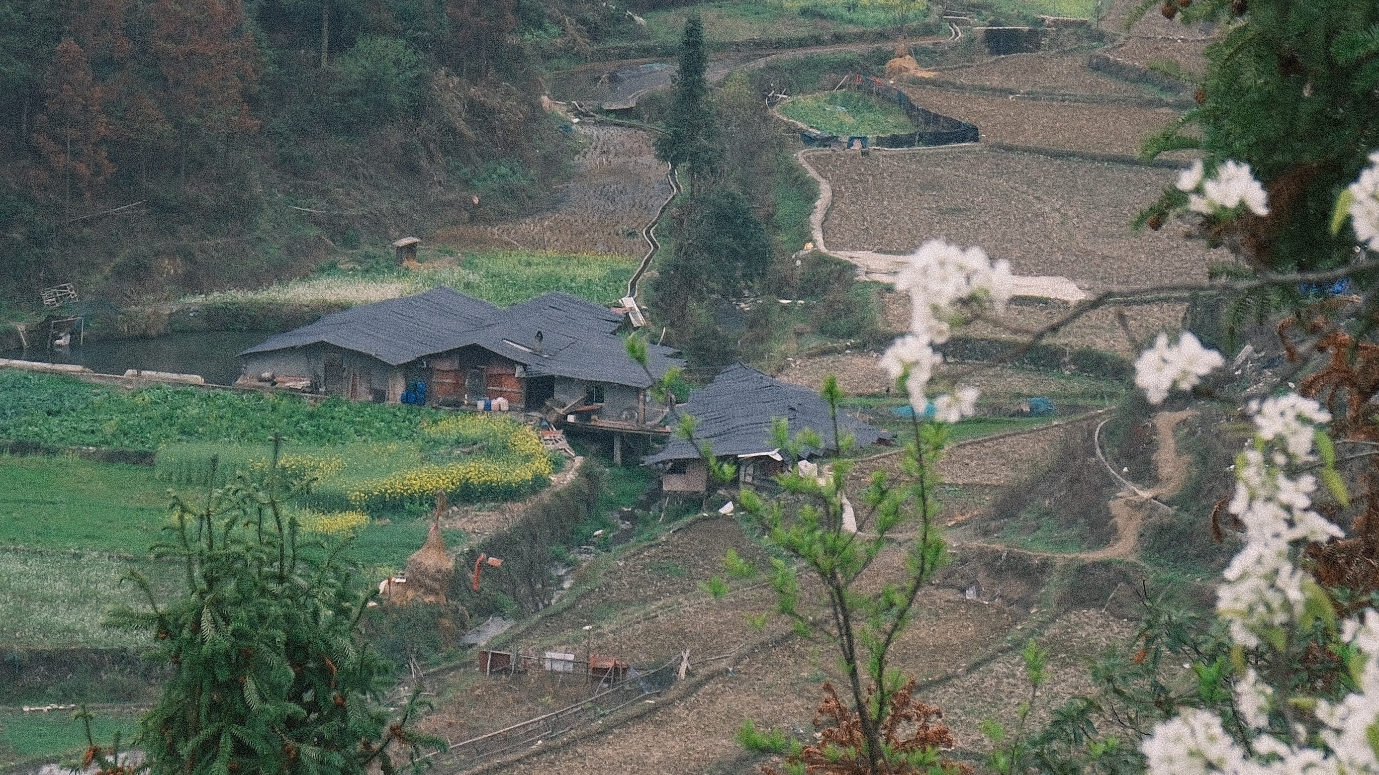 Miao village in the mountains