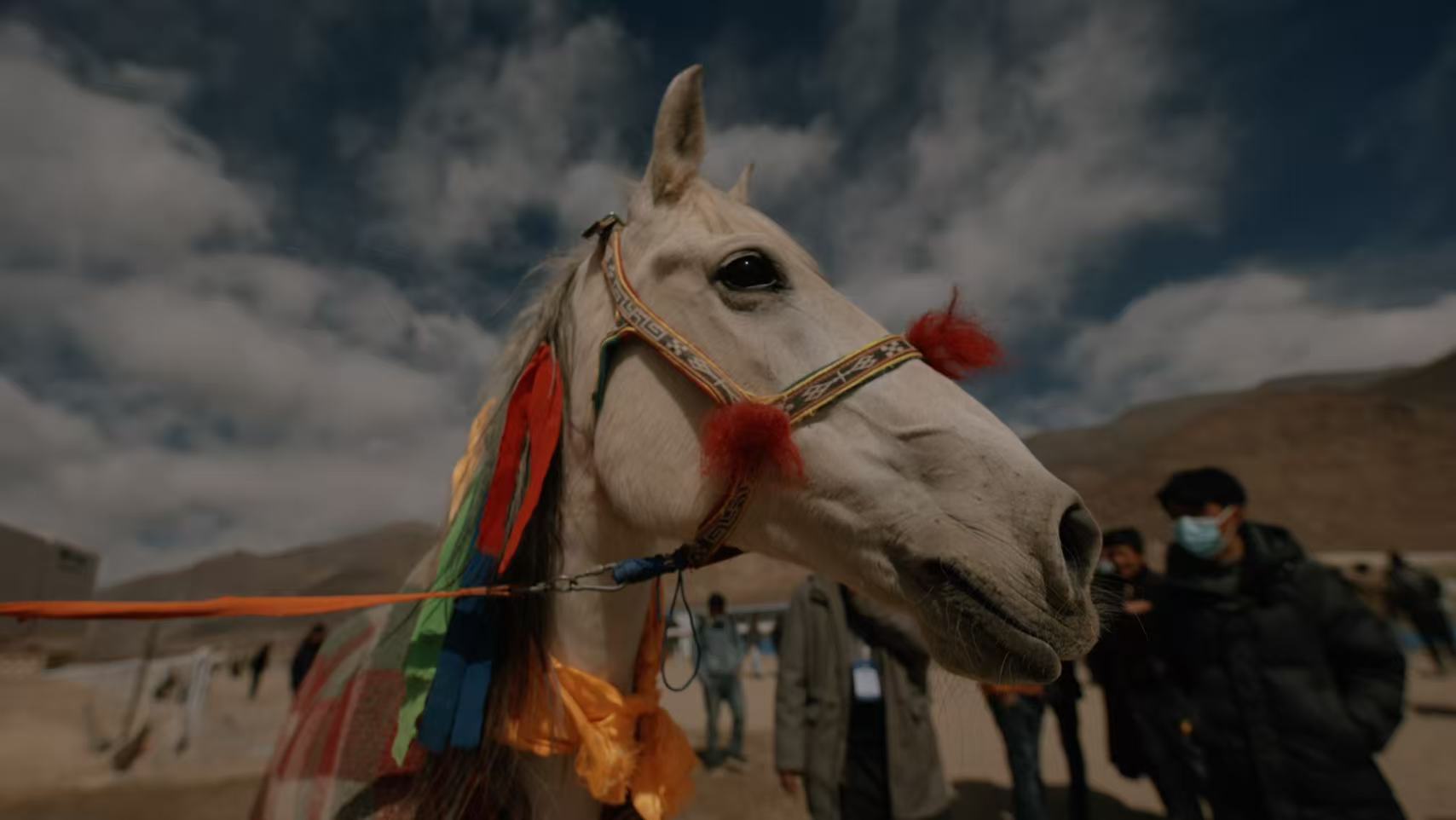 A horse in festive decorations stands on a racetrack in Lhasa, southwest China's Xizang Autonomous Region. /CGTN