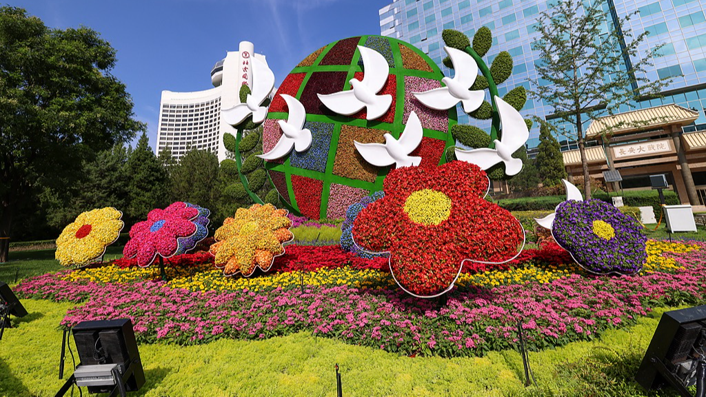 Wang Yi hails heads-of-state diplomacy as anchor of Chinese diplomacy