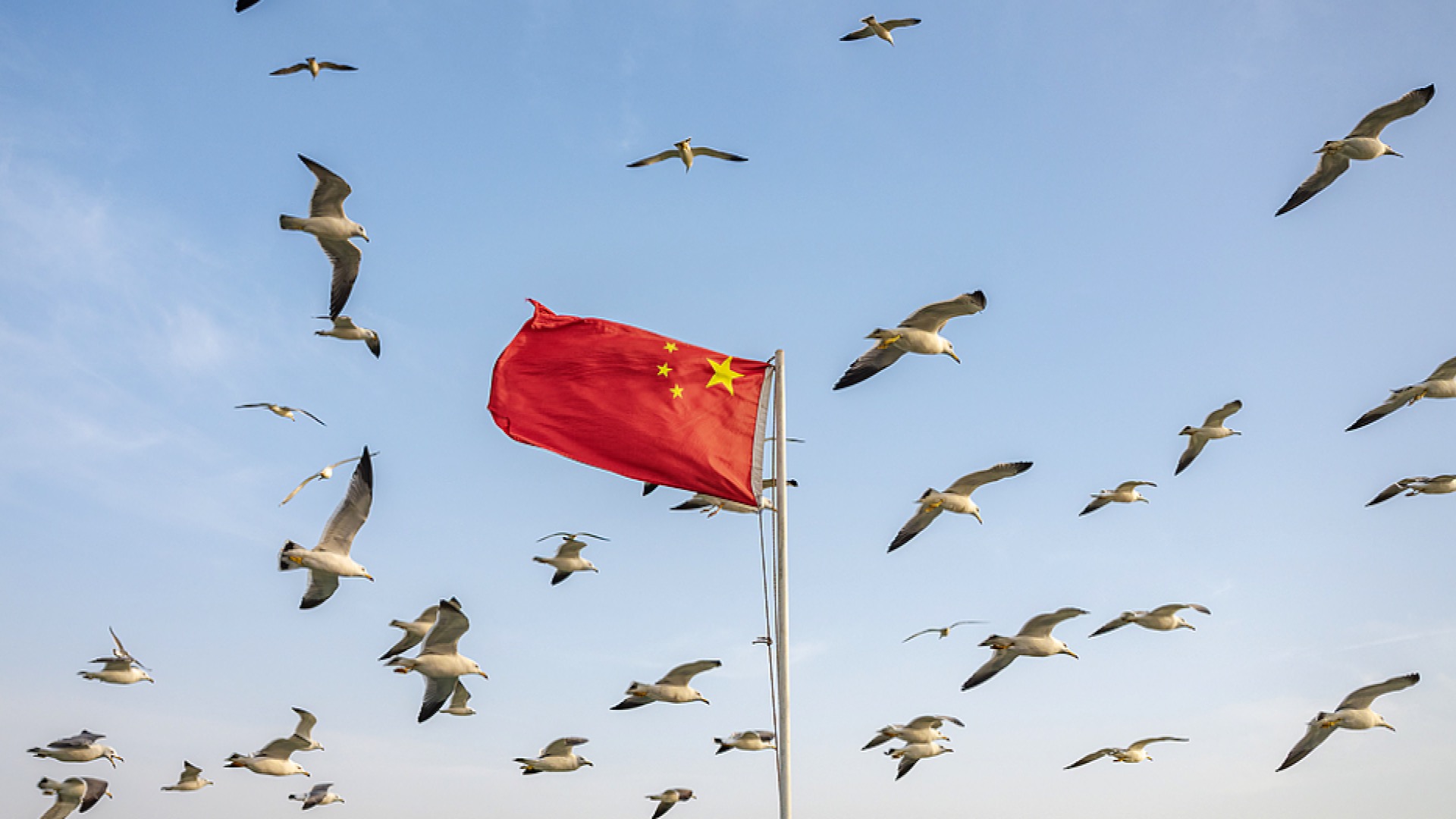 Vision of building a community with shared future for humanity lights way forward, Chinese FM says